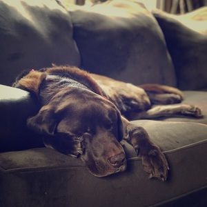 Meet your Posher, Lynette